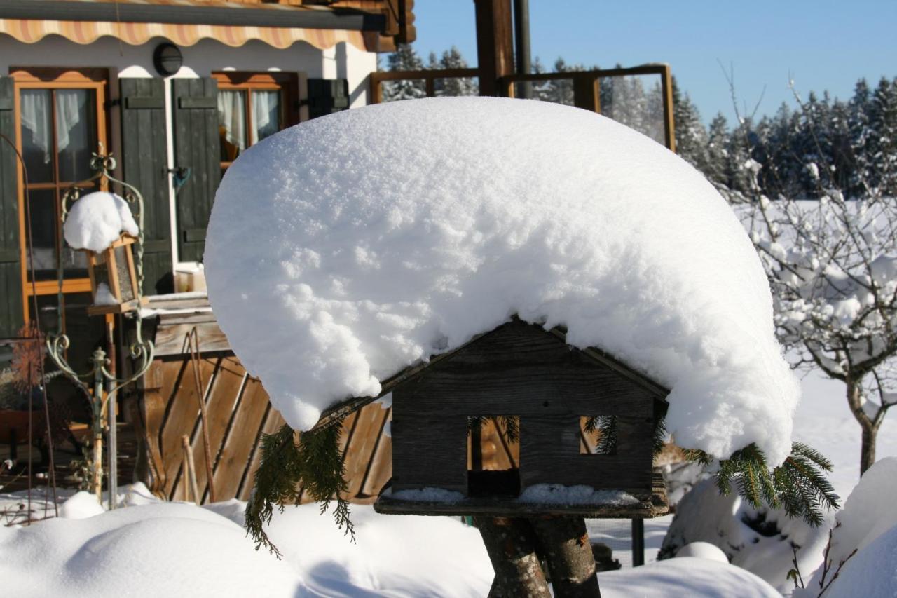 GörisriedHaus Allgaeu Ruh公寓 外观 照片