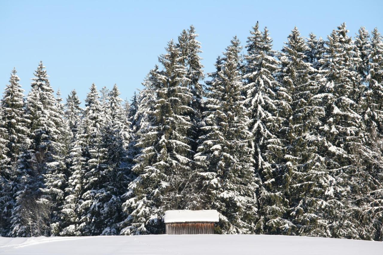 GörisriedHaus Allgaeu Ruh公寓 外观 照片